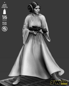 extracted_301225 Star Wars - Leia Sculpt Image 018.jpg
