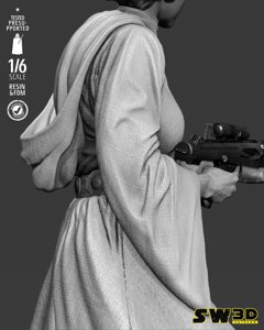 extracted_301225 Star Wars - Leia Sculpt Image 019.jpg