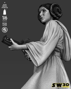 extracted_301225 Star Wars - Leia Sculpt Image 020.jpg