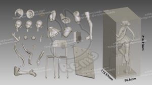 extracted_Pieces.png