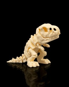 extracted_Skeleton_T_Rex_1_cfe71eb080.png