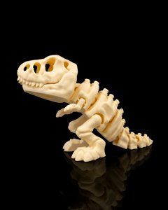 extracted_Skeleton_T_Rex_3_0d6d28748d.png