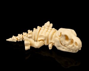 extracted_Skeleton_T_Rex_2_9d6366b3f8.png