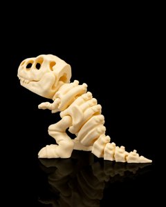 extracted_Skeleton_T_Rex_5_6b01061bee.png