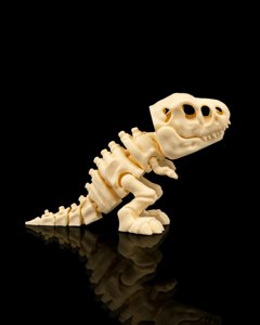 extracted_Skeleton_T_Rex_4_6acb02a961.png
