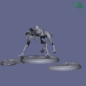 extracted_dg10.jpg