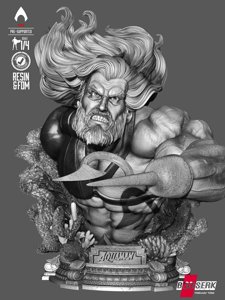 extracted_100326 B3DSERK - Aquaman Bustp Image 001.jpg