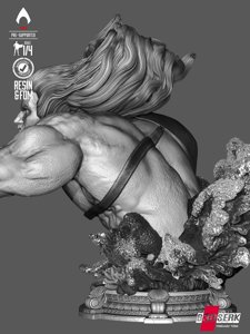 extracted_100326 B3DSERK - Aquaman Bustp Image 002.jpg