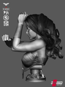 extracted_060426 B3DSERK - WonderWoman Bustp Image 002.jpg