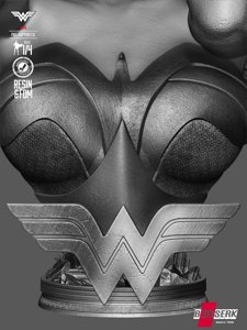 extracted_060426 B3DSERK - WonderWoman Bustp Image 009.jpg