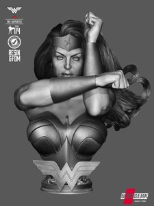 extracted_060426 B3DSERK - WonderWoman Bustp Image 001.jpg