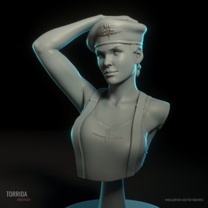 extracted_Dizzy bust (07).jpg