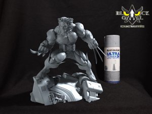 extracted_WOLVI_SENTINEL_02.jpg